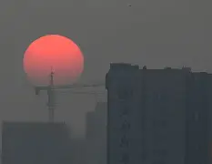 海鸥课外阅读答案 海鸥课外阅读答案